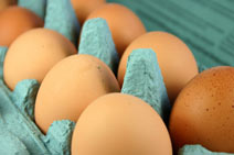 Formax Egg Ration Pellet